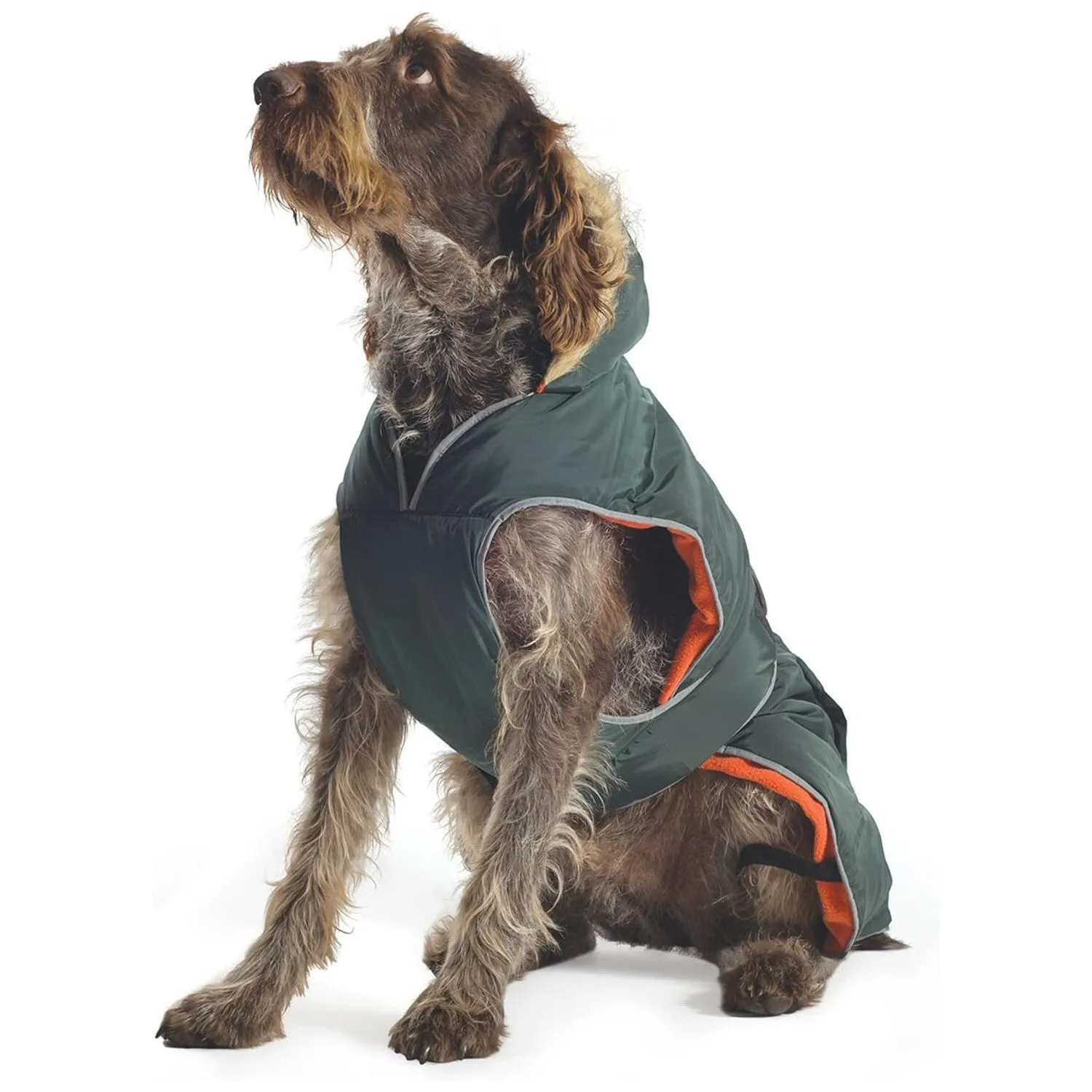 Ancol Muddy 50cm Paws Green Parka Dog Coat - Large