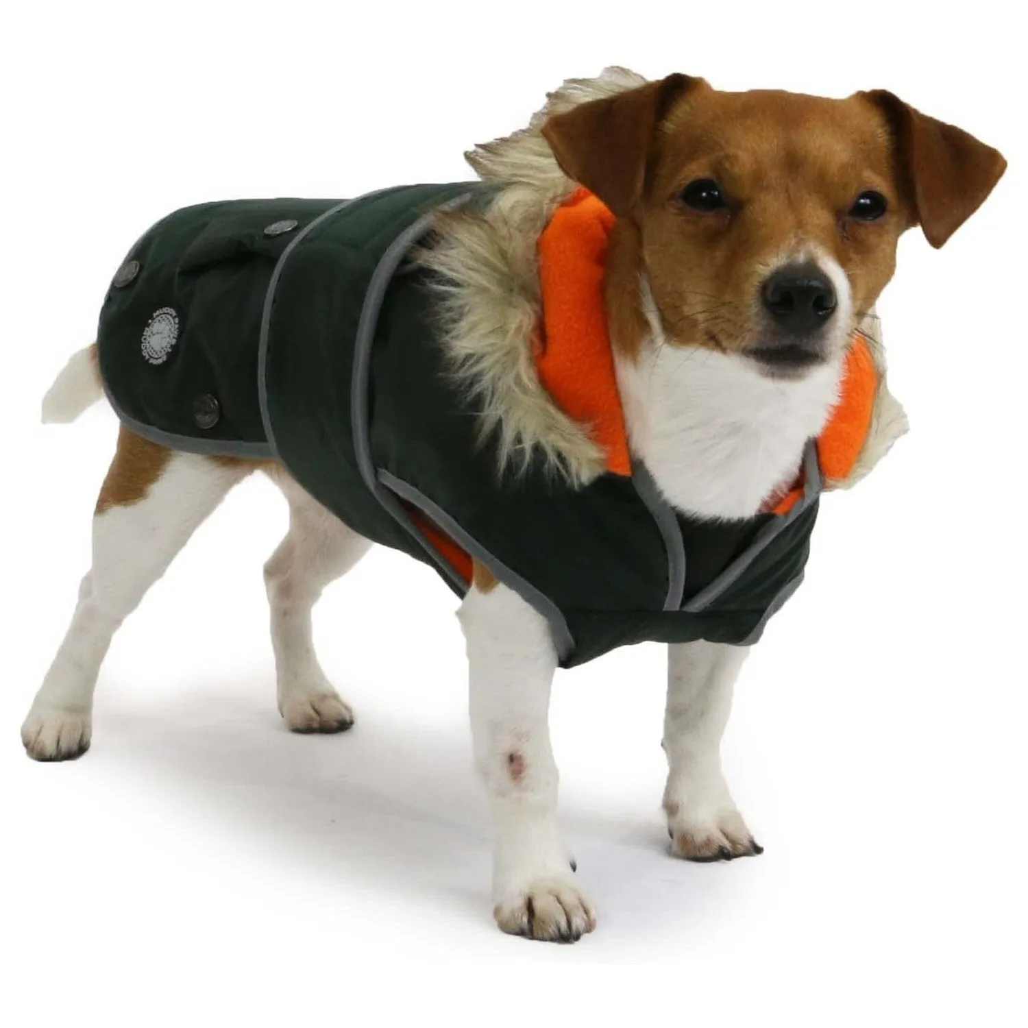 Ancol Muddy 50cm Paws Green Parka Dog Coat - Large