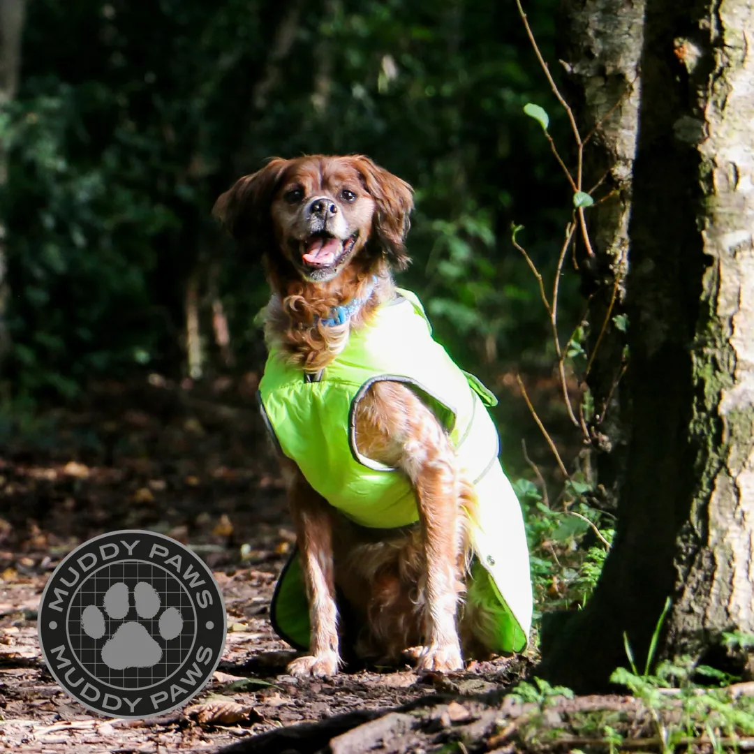 Ancol Stormguard Hi Vis Dog Coat