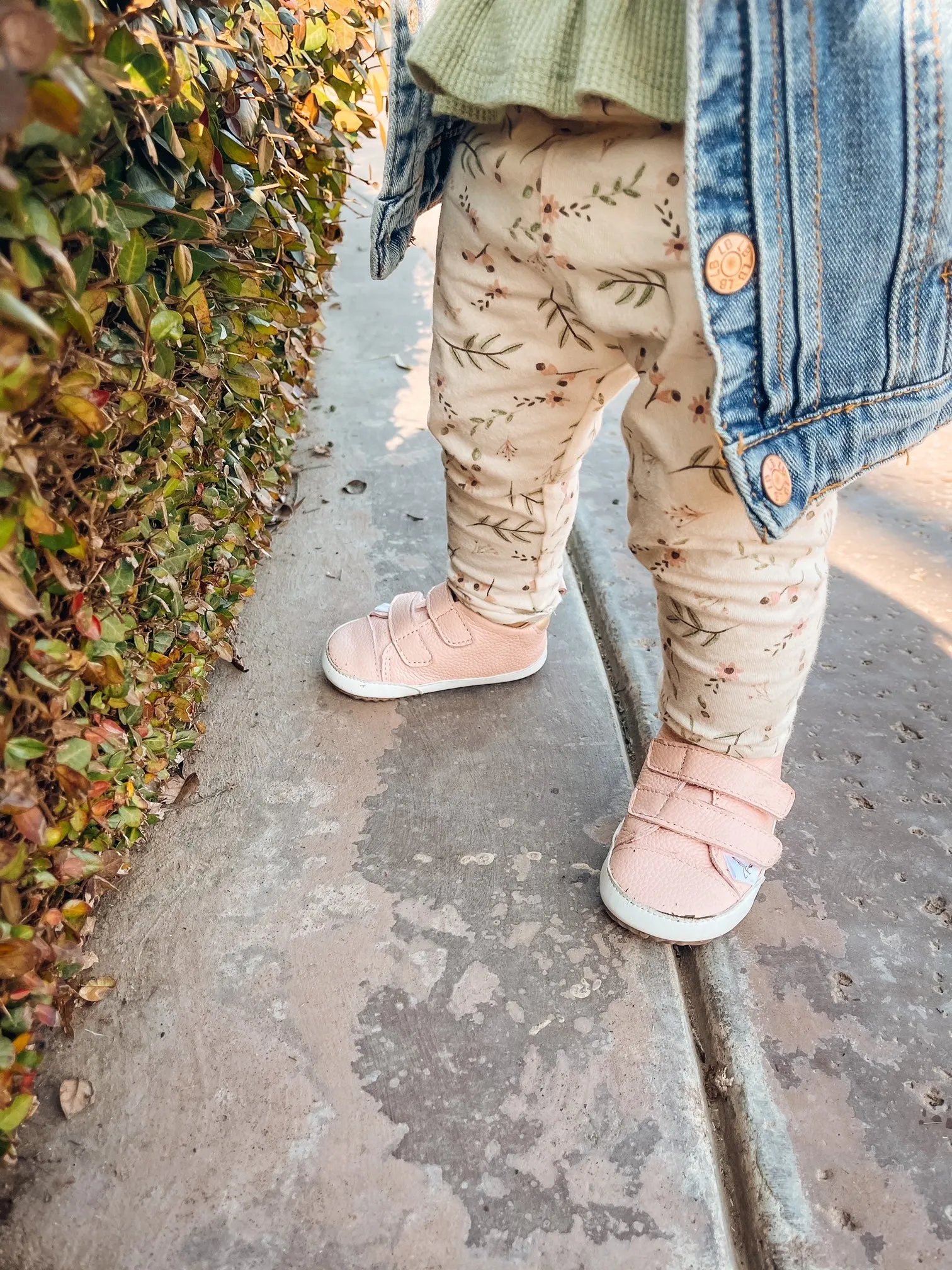 Casual Pink Low Top