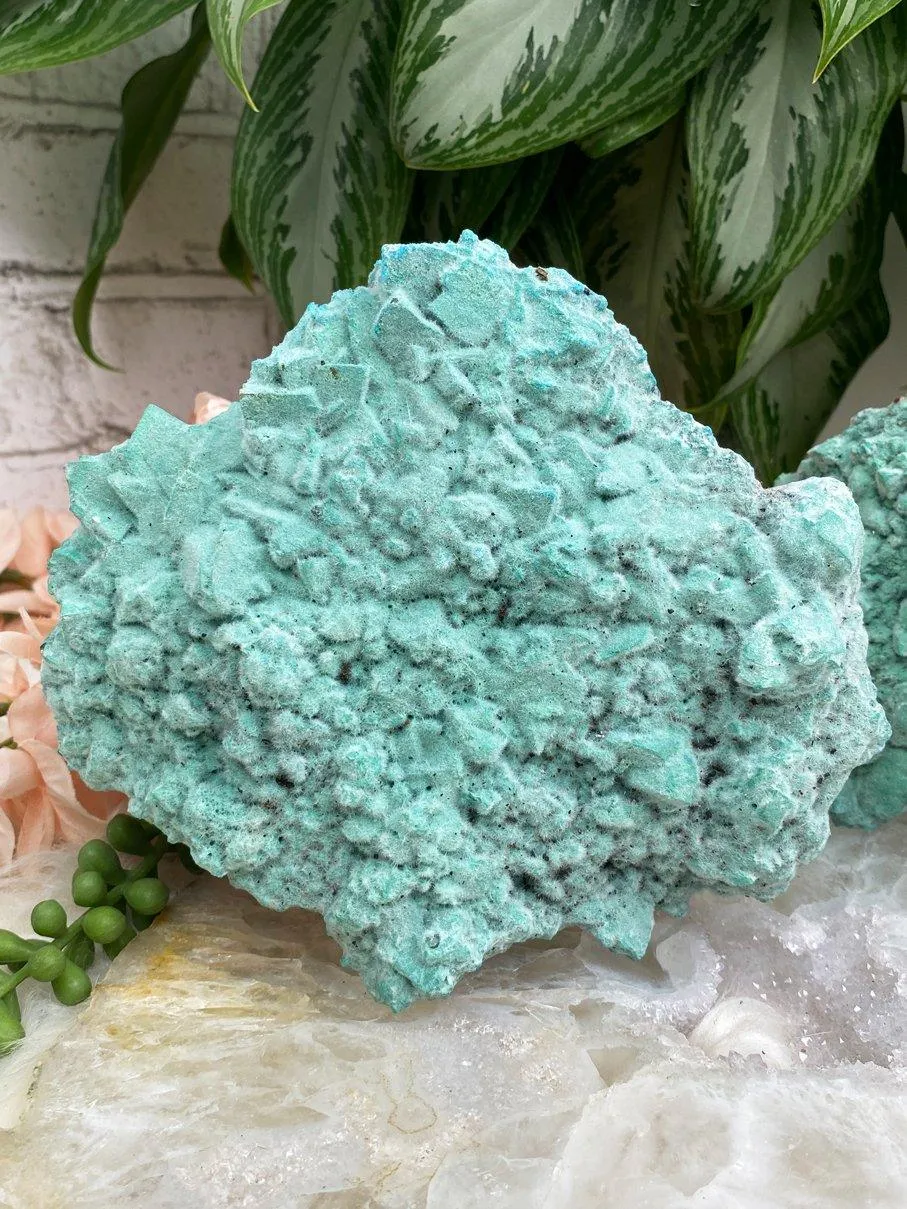 Large Kobyashevite Clusters