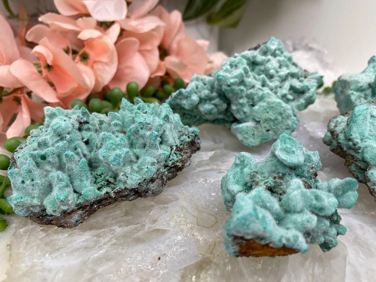 Teal Kobyashevite Clusters