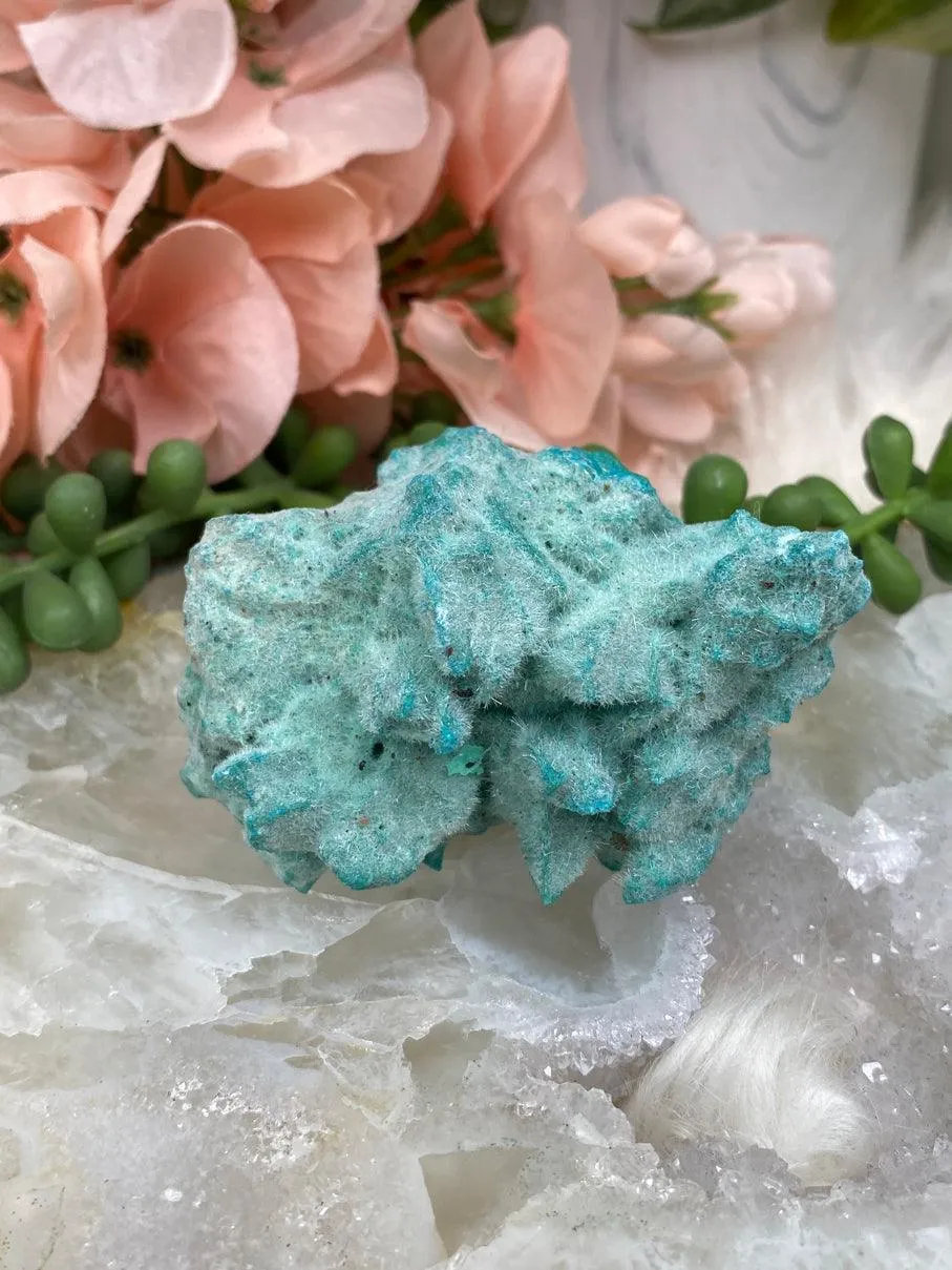 Teal Kobyashevite Clusters