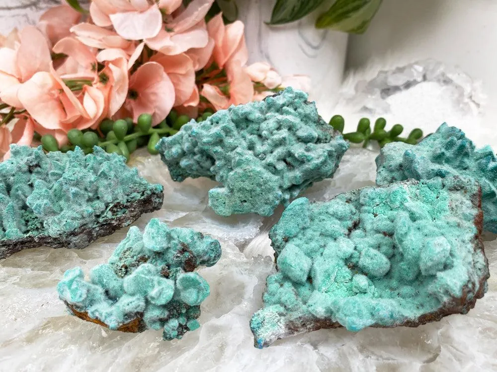 Teal Kobyashevite Clusters